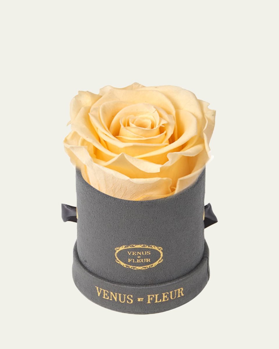 Suede Mini Round Rose Box